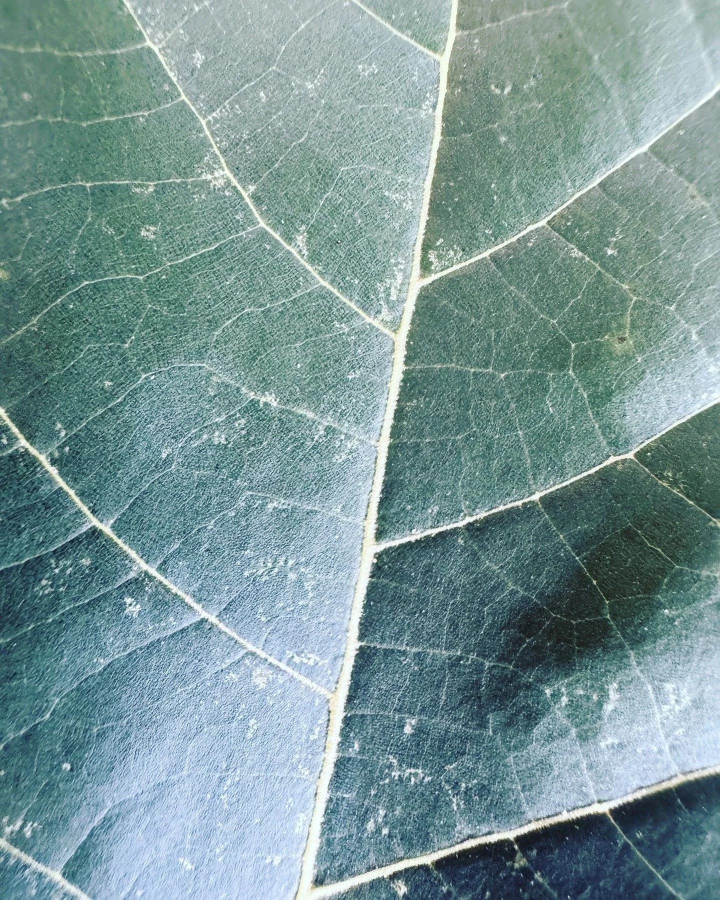 I love the quiet parts of building &mdash; the in-between moments where you&rsquo;re reading something new, meeting someone new, or sitting outside trying to make sense of the next step.

For me, there&rsquo;s something about working outside that cha