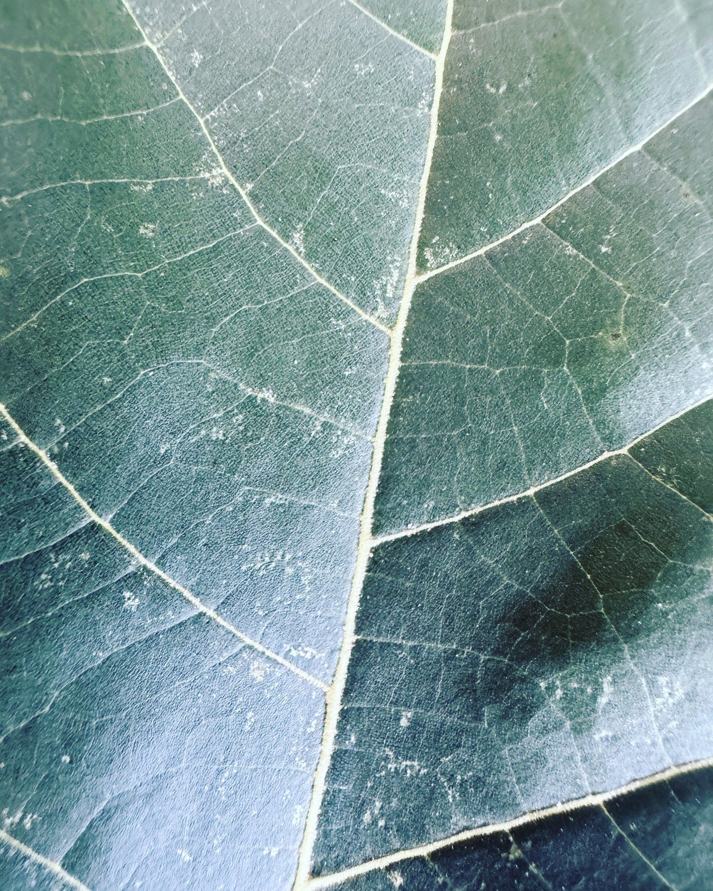 I love the quiet parts of building &mdash; the in-between moments where you&rsquo;re reading something new, meeting someone new, or sitting outside trying to make sense of the next step.

For me, there&rsquo;s something about working outside that cha