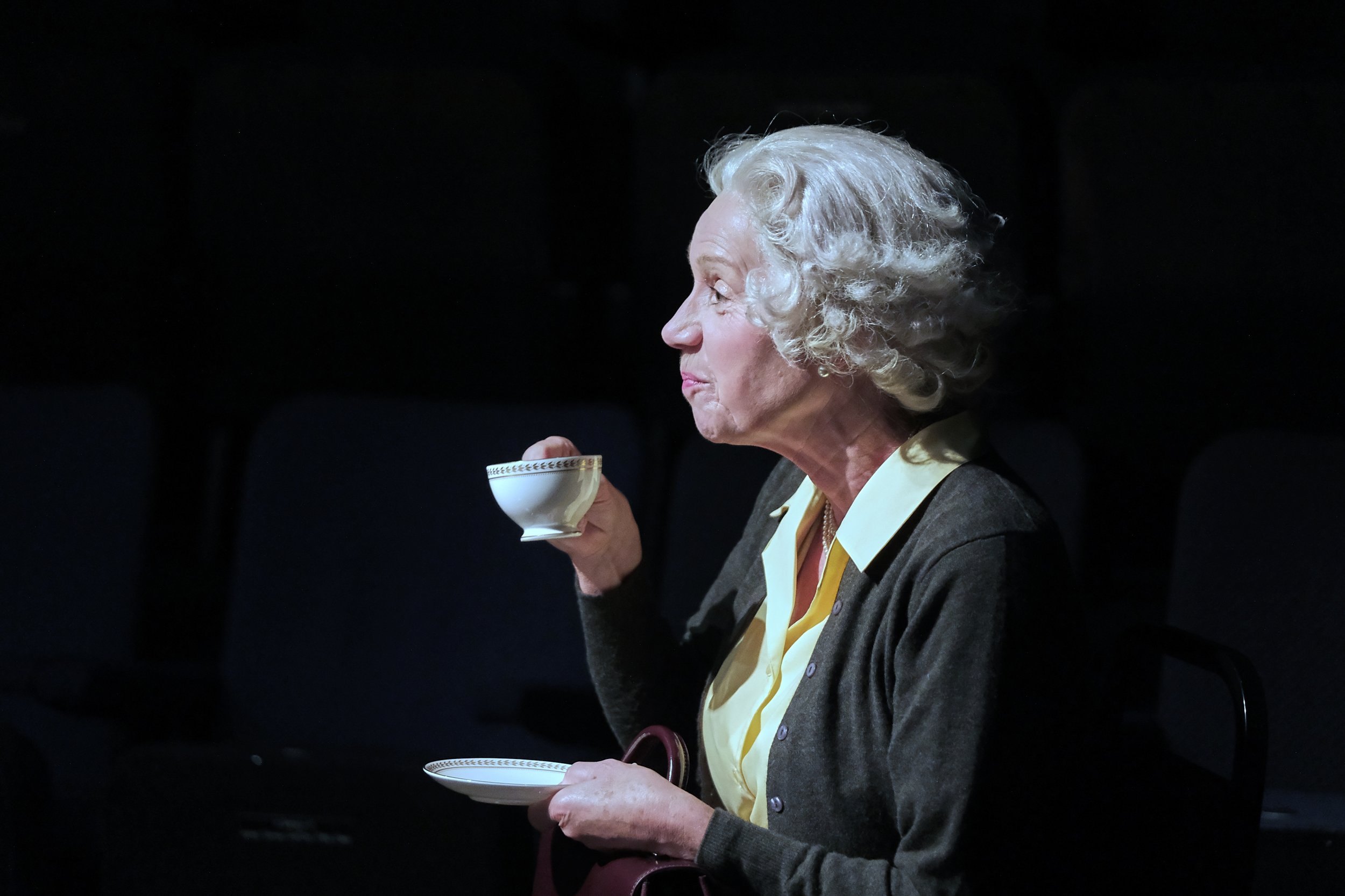 SJT Handbagged ©Tony Bartholomew 14.jpg