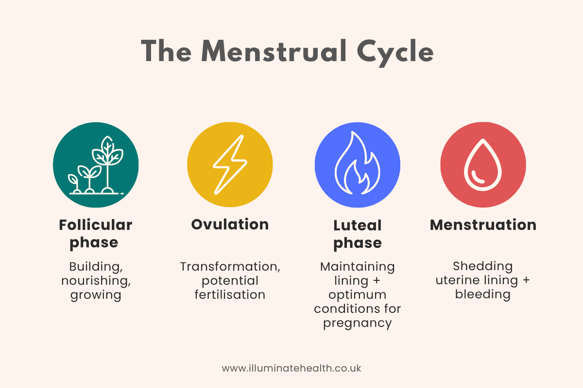 Infographic with four different icons to show the four stages of the menstrual cycle.