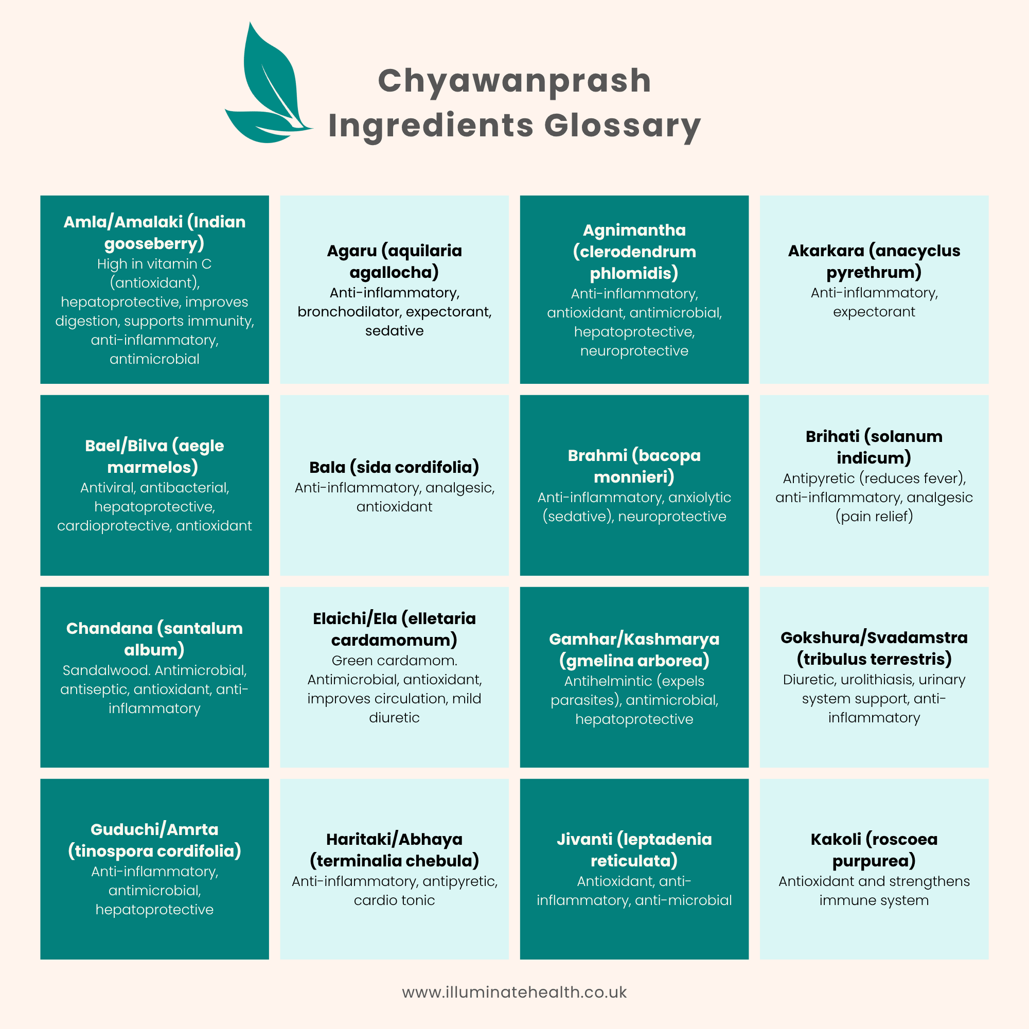 Chyawanprash-ingredients-glossary-1.png
