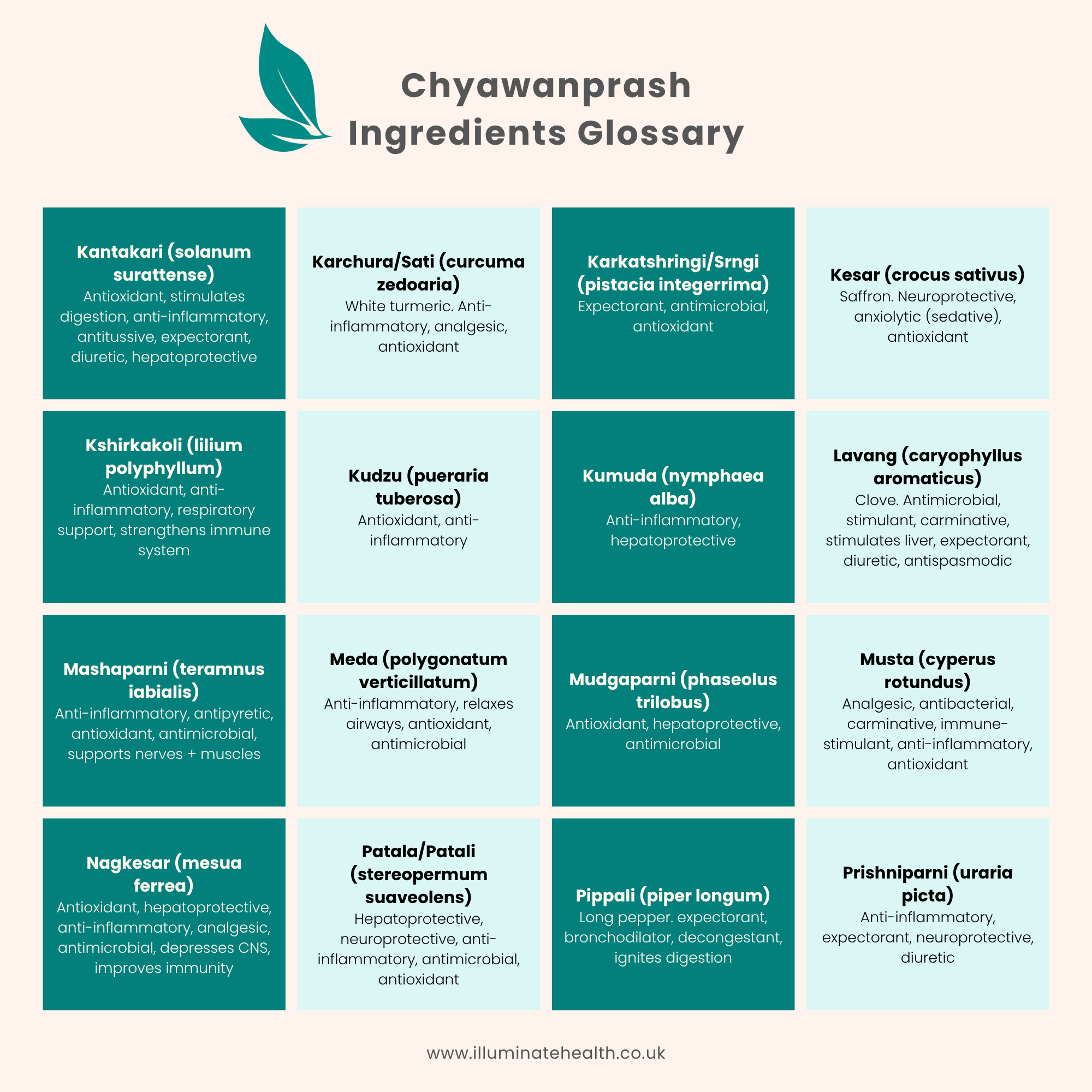 Chyawanprash-ingredients-glossary-2.png