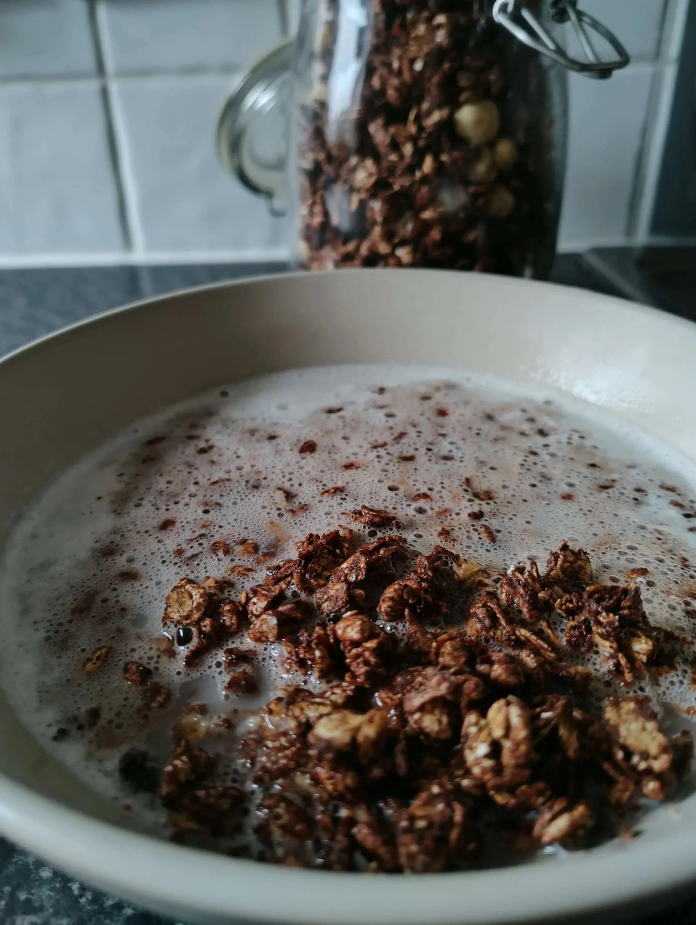 A bowl of crunchy chocolate granola with milk.