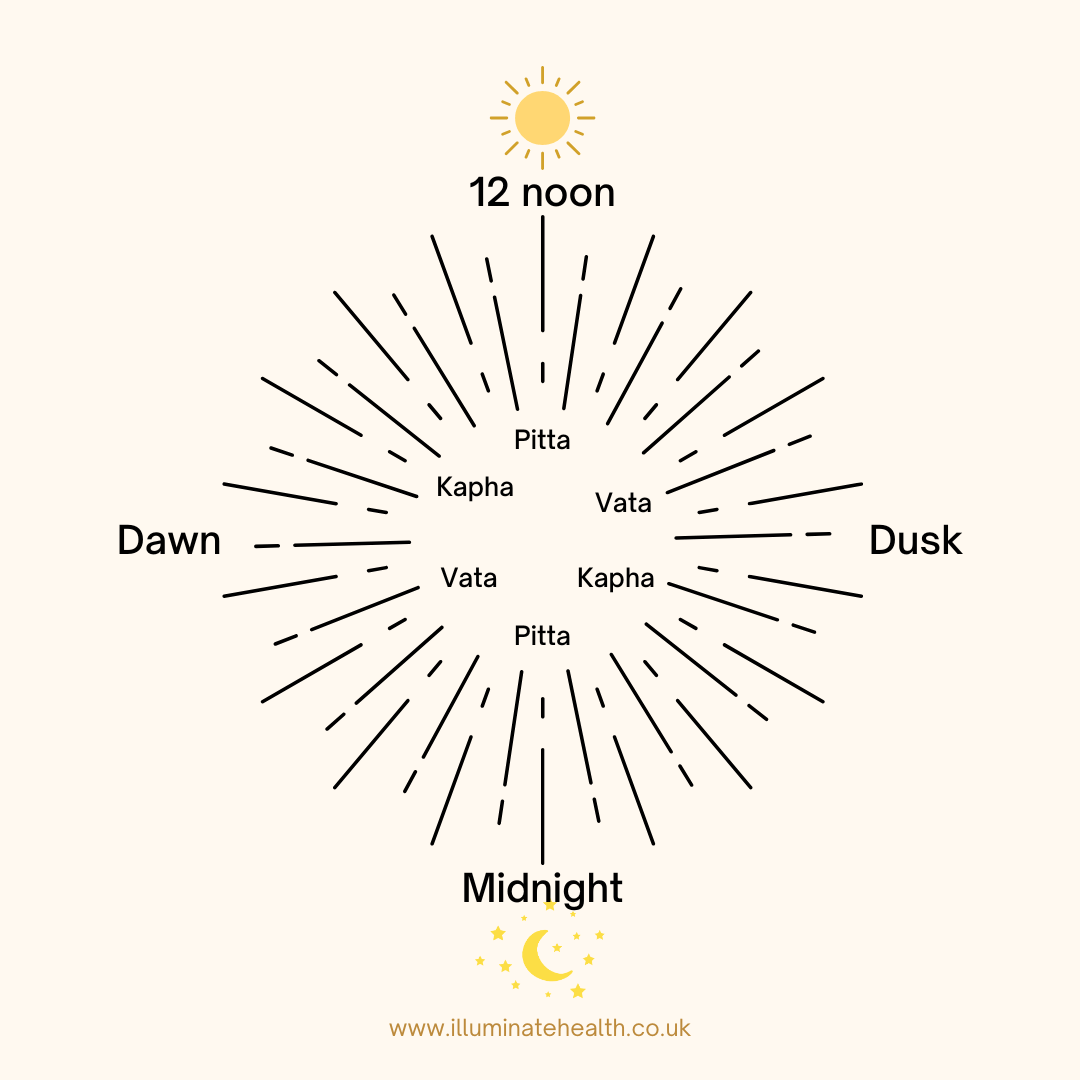 Diagram showing Ayurvedic circadian clock
