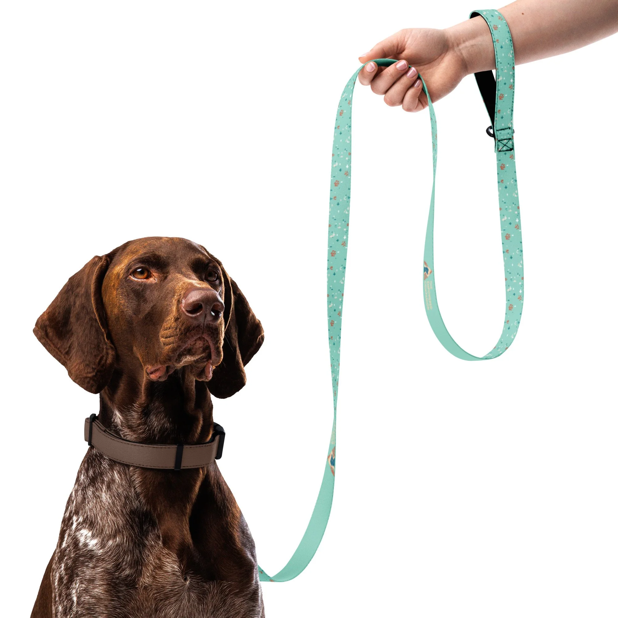 pet-leash-white-front-68891bb2b77c0.jpg