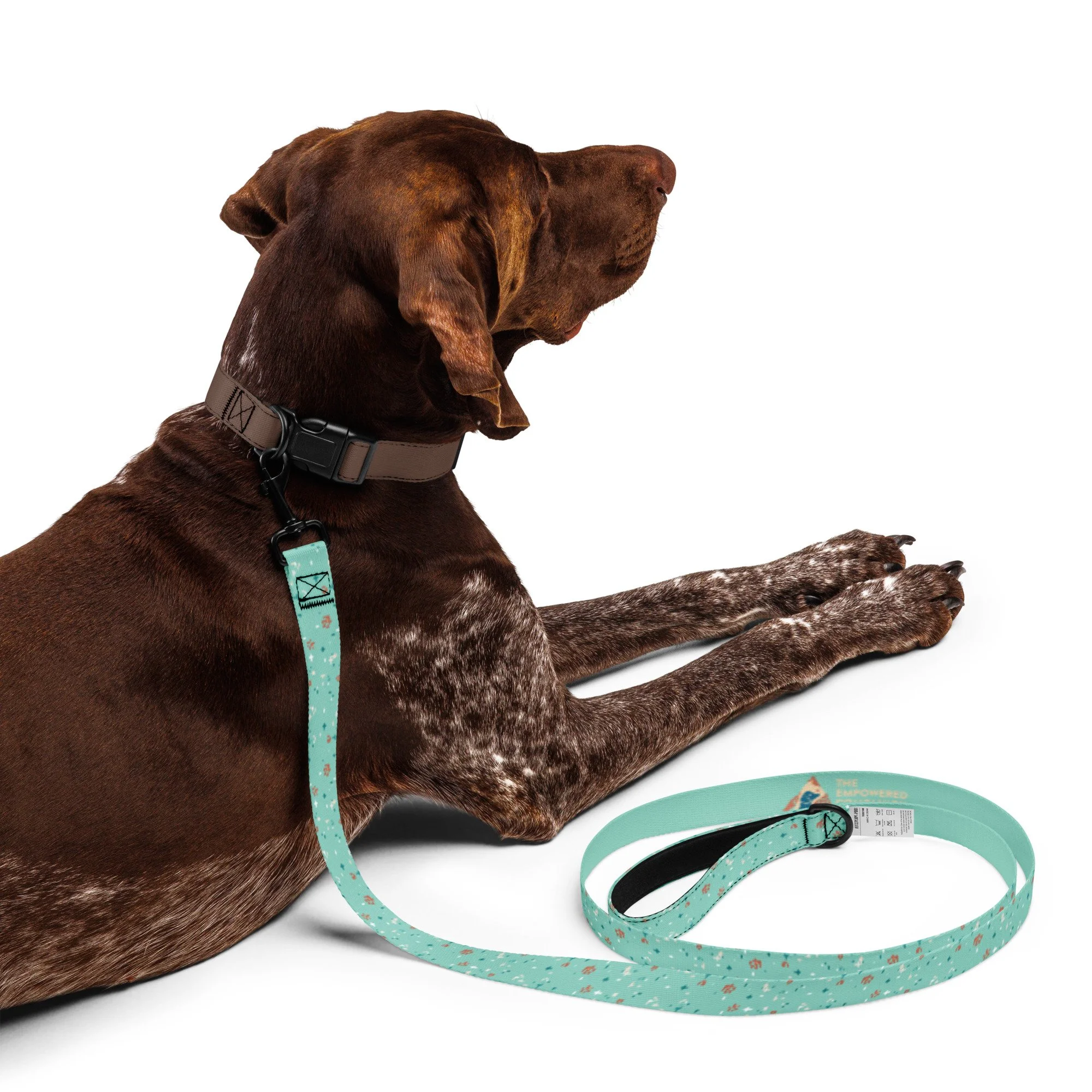 pet-leash-white-front-68891bb2b7f8e.jpg