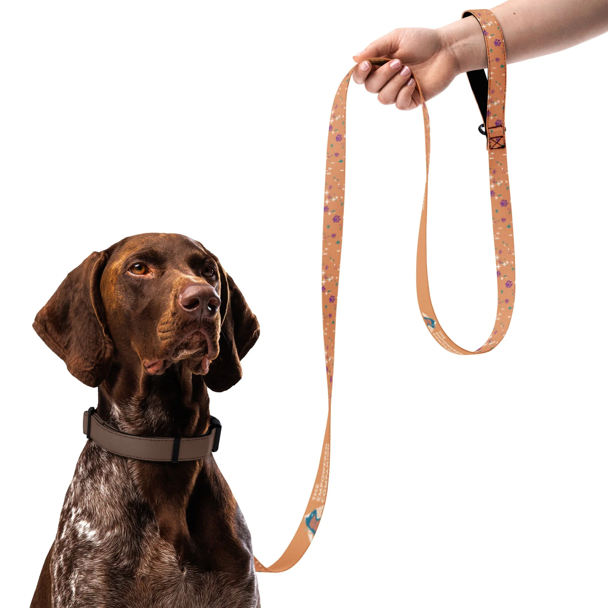 pet-leash-white-front-68891be7bee22.jpg
