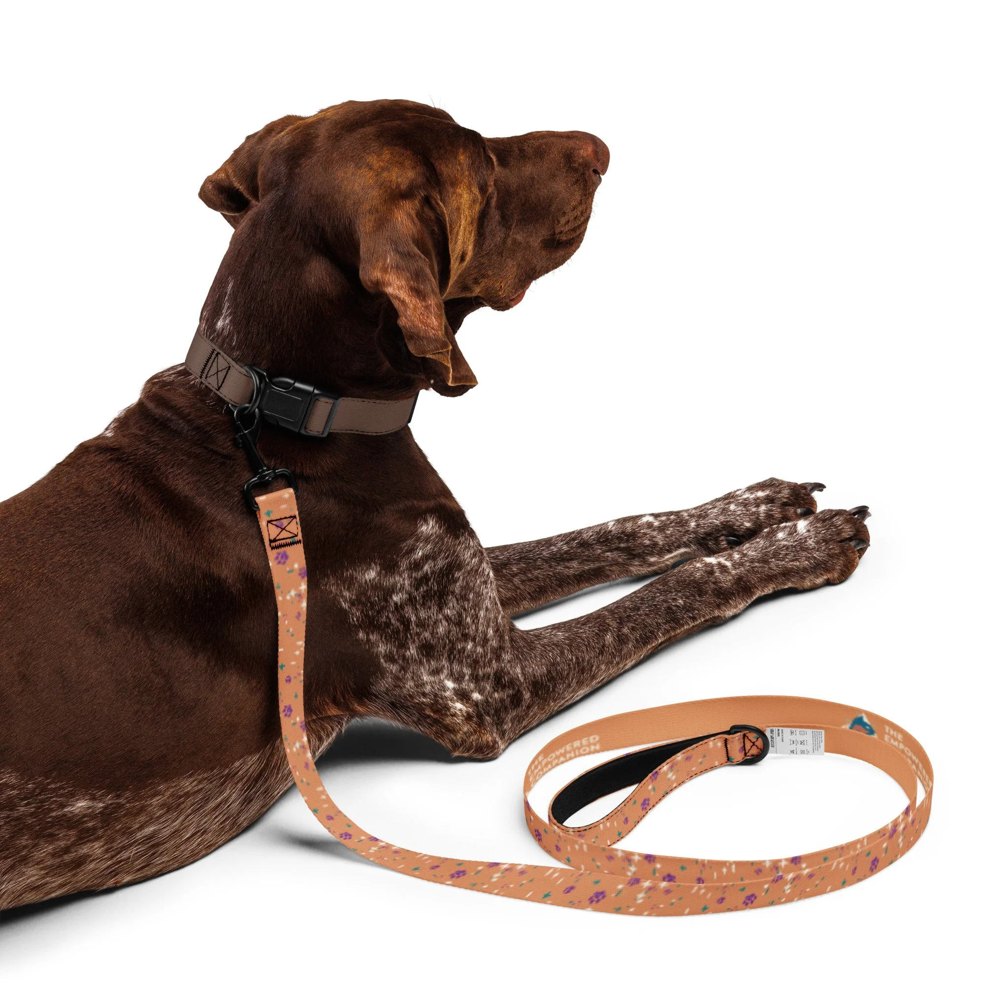 pet-leash-white-front-68891be7bf83c.jpg