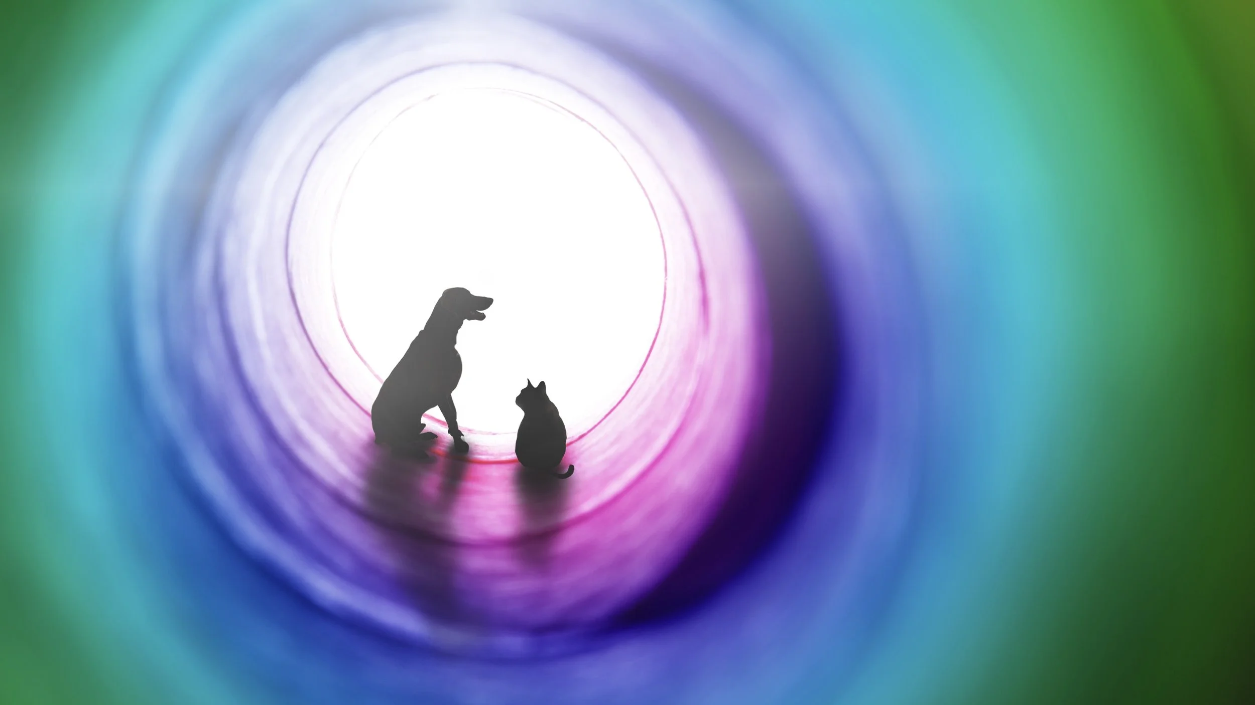 Silhouette of a cat and dog in a muted rainbow circle representing the Circle of Support for Pet Loss & Healing.
