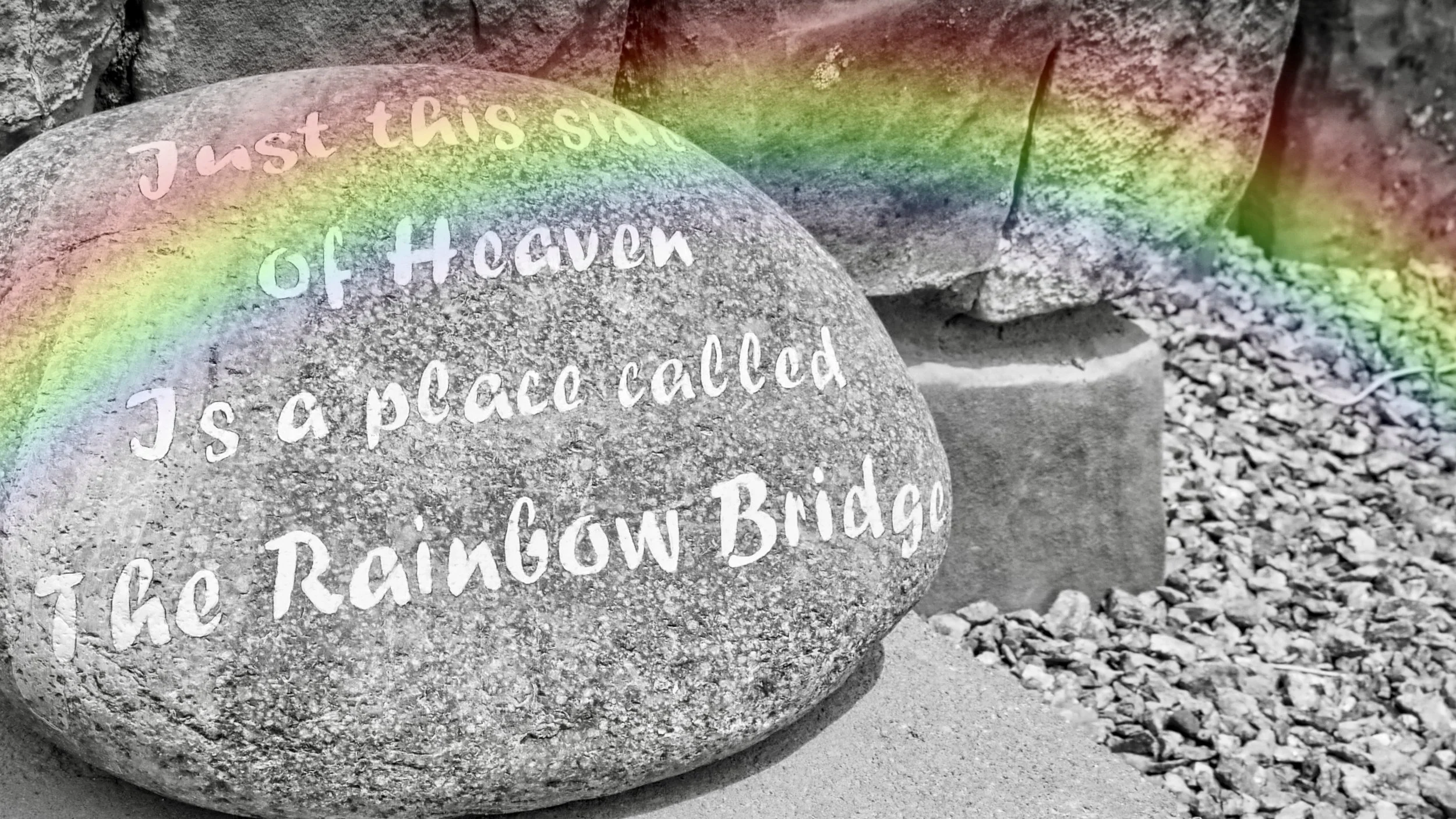 In Spirit: A Spring Ceremony of Gratitude for Beloved Pets