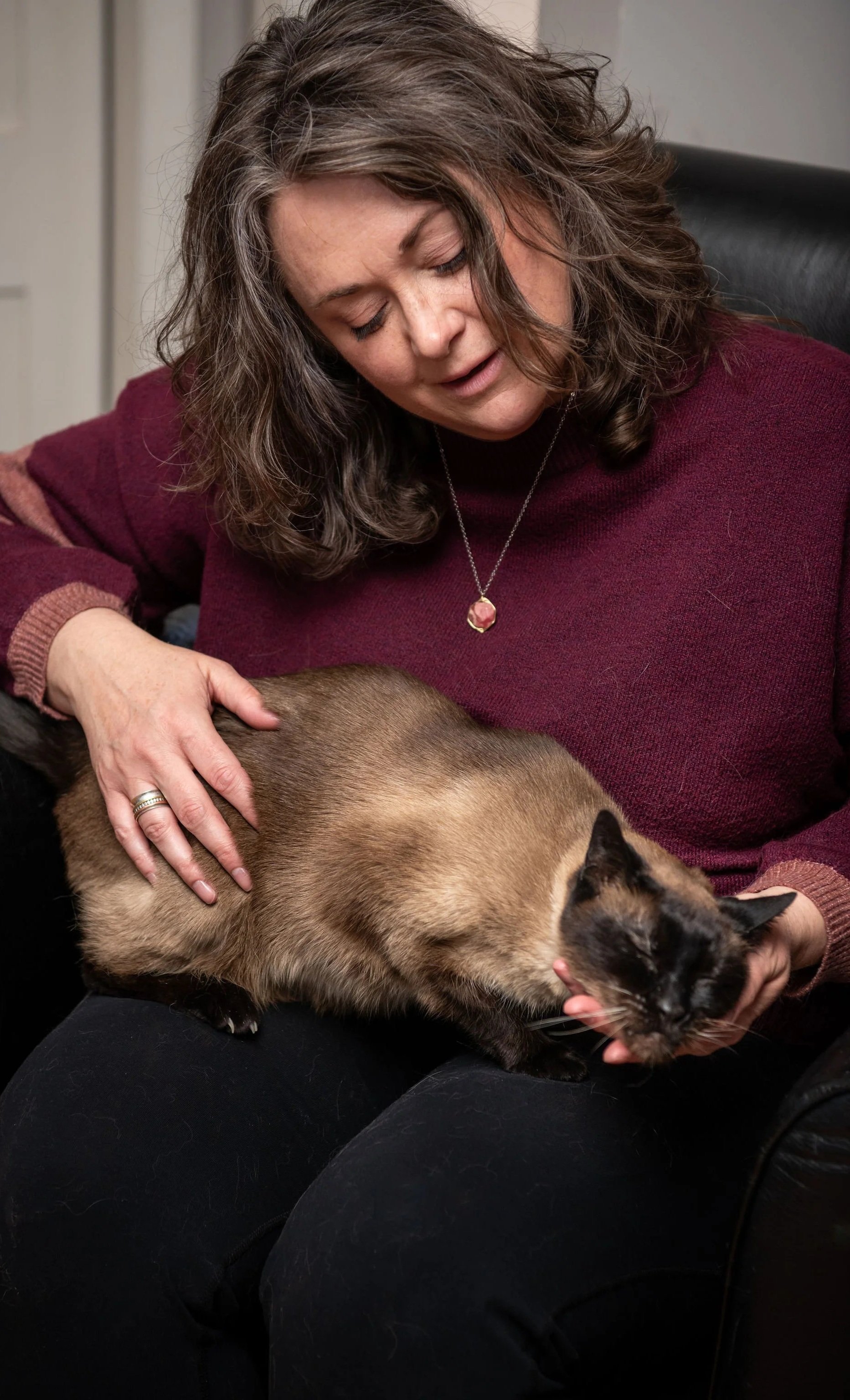 senior cat resting calmly during animal reiki support