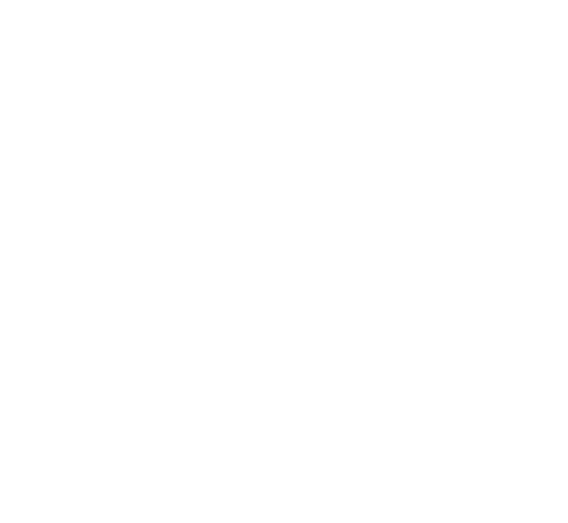Website van het Jaar