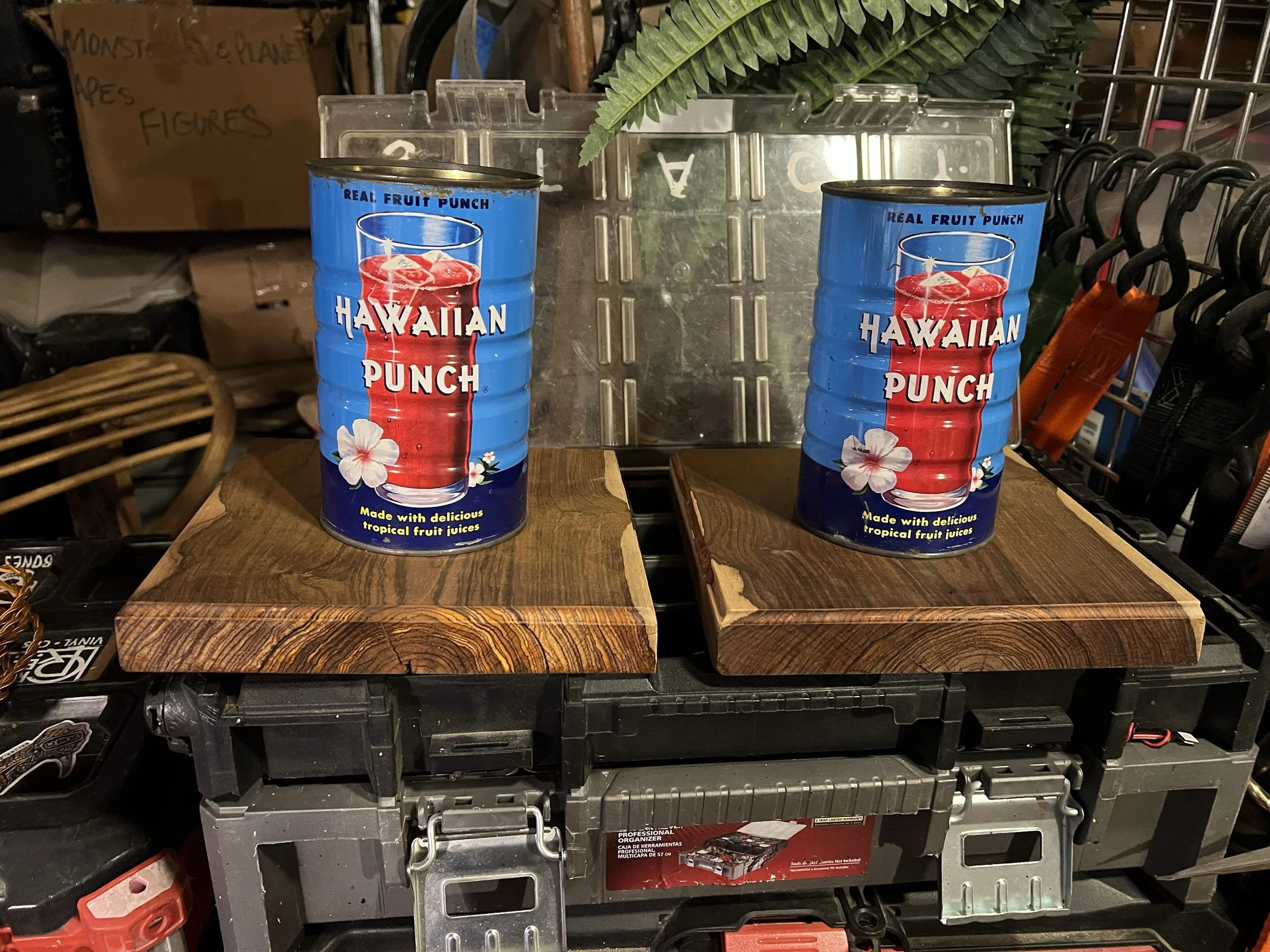 Adventure Lamps - Hawaiian Punch
