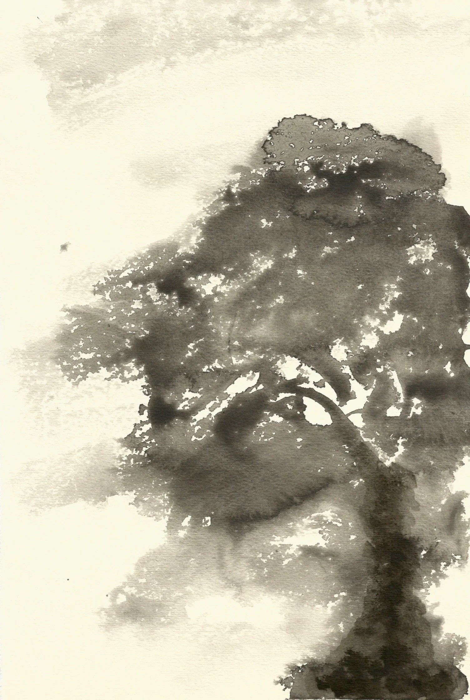 Arquivo Escaneado 2.jpeg