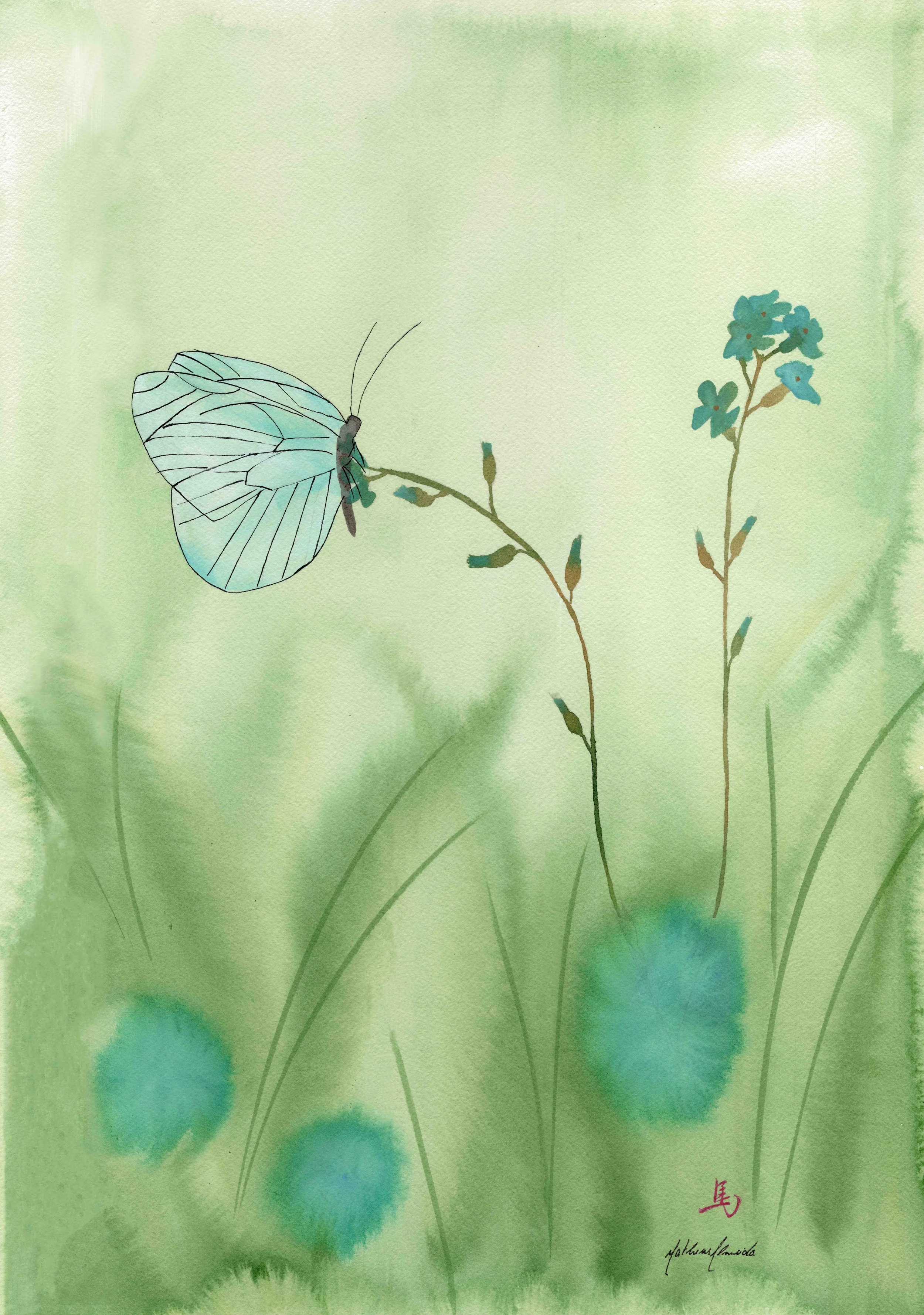 A borboleta e o Galho [post].jpg