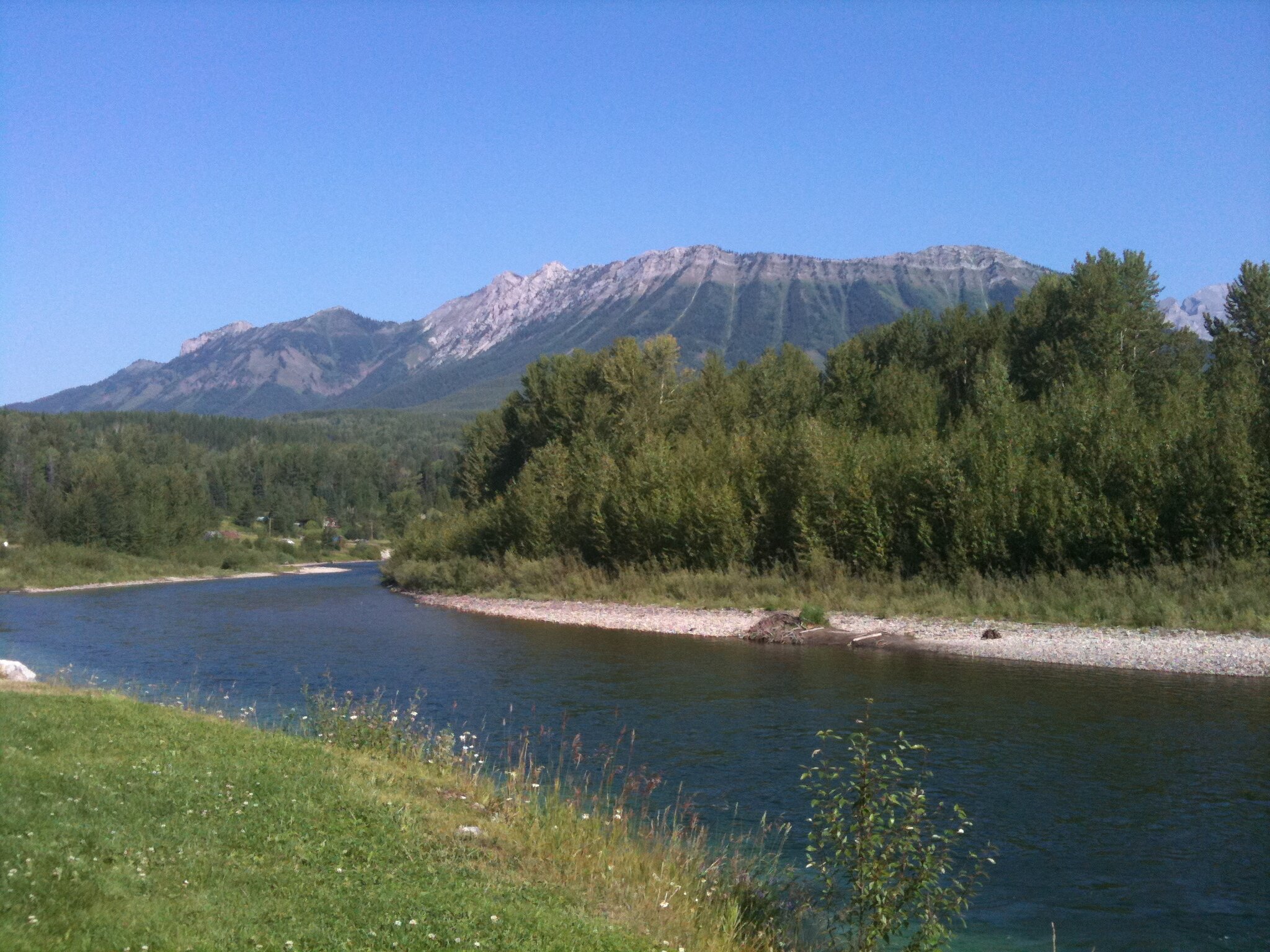 Frantic February - Glad to see the back of it