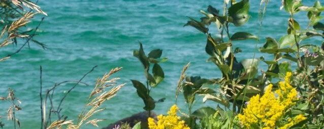 In her descriptions of landscape, and how it mirrors the characters’ interior lives, there are moments in McCullough’s book that remind me of Laurence’s “The Loons.” -- Diana Davidson, Author of Pilgrimage