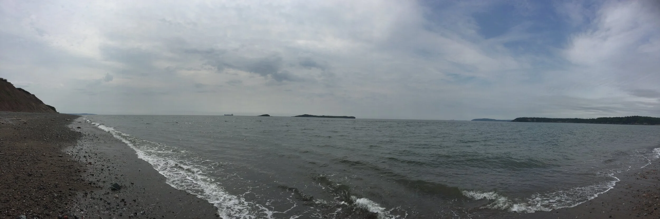 Life Measured in Pickles