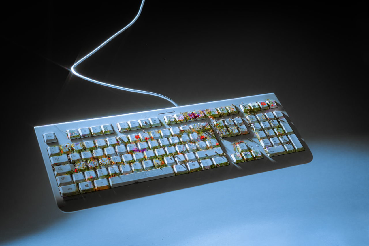 A computer keyboard with floral and nature-themed keys, illuminated by a faint light, on a dark background.