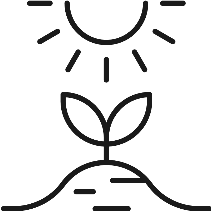 Line drawing of a sprouting plant beneath the sun with rays