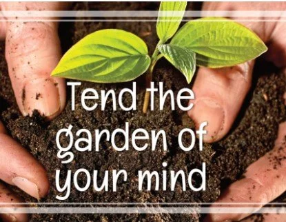 Gardener of our Minds