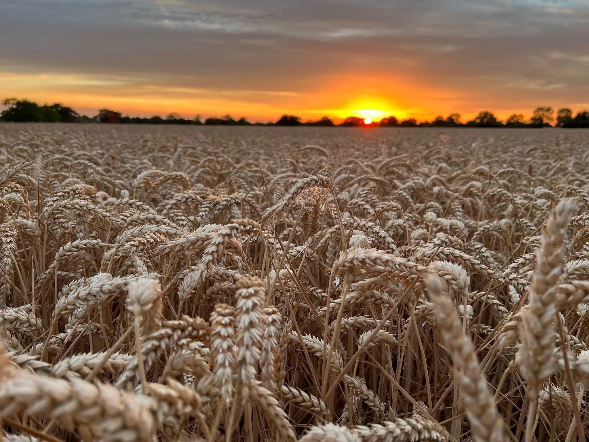 WhatsApp Image 2023-05-18 at 12.04.45.jpeg