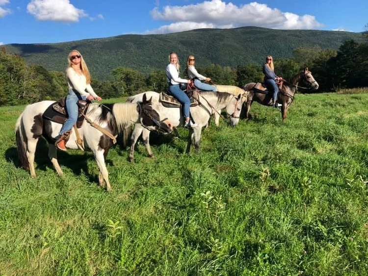Mountain View Ranch