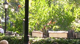 MADISON SQUARE PARK CONSERVANCY