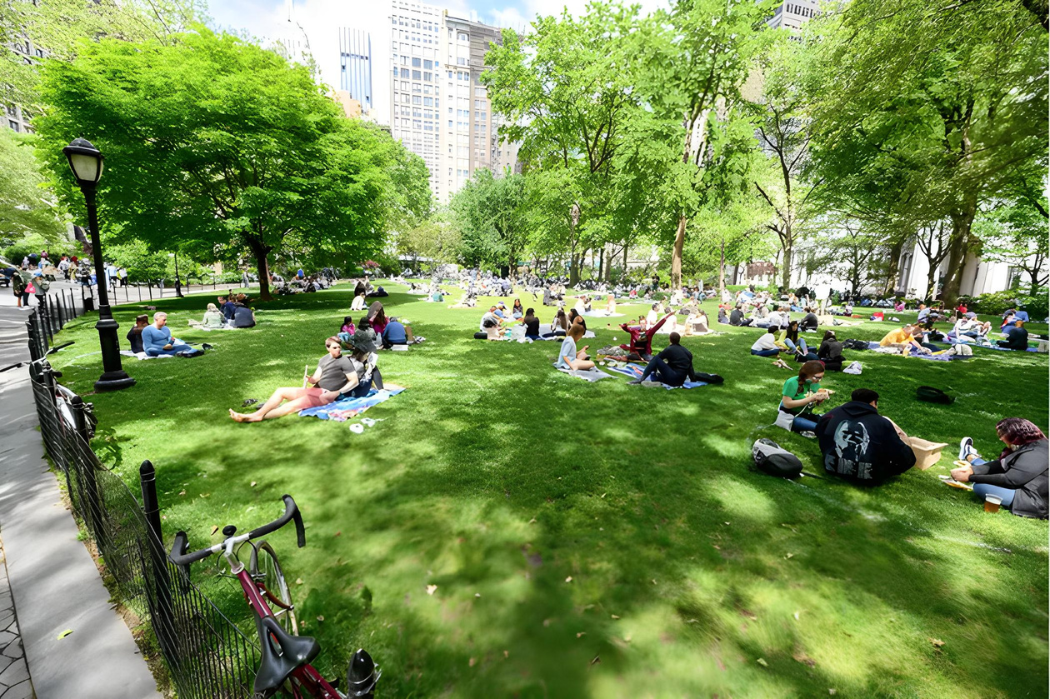 BLACKBARN Joins NYC's Green Dining Initiative: How NoMad is Leading the Way