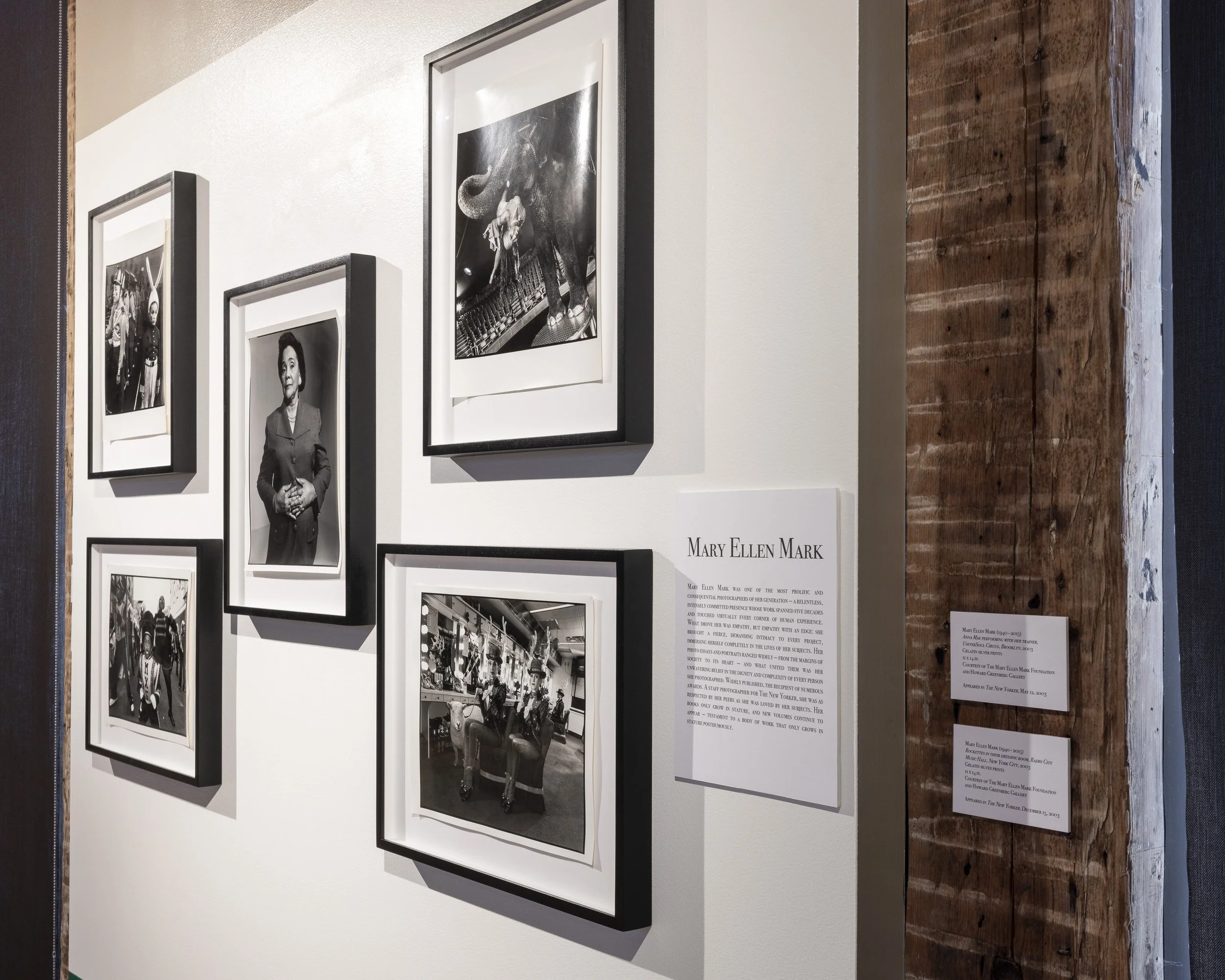 A Thousand Words-107.jpg