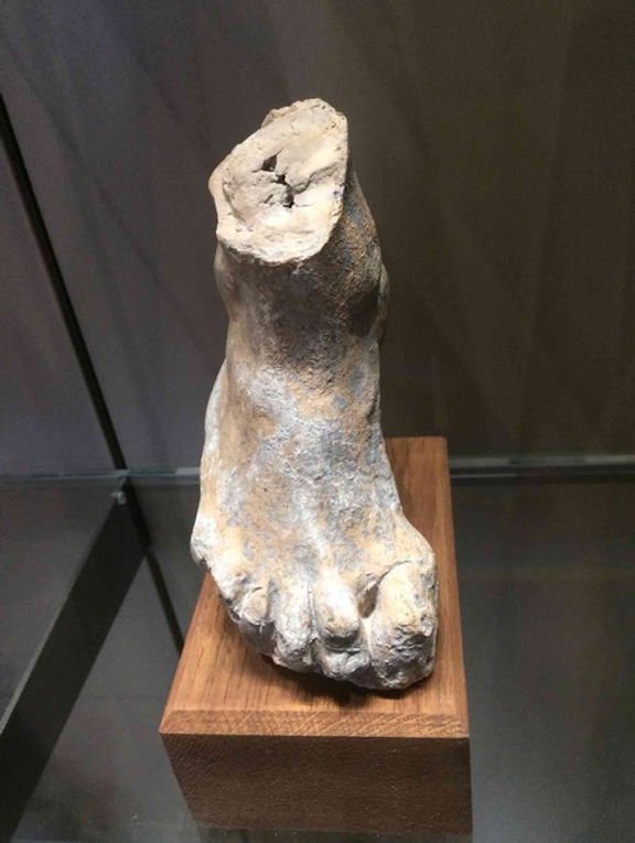 Rodin's Foot