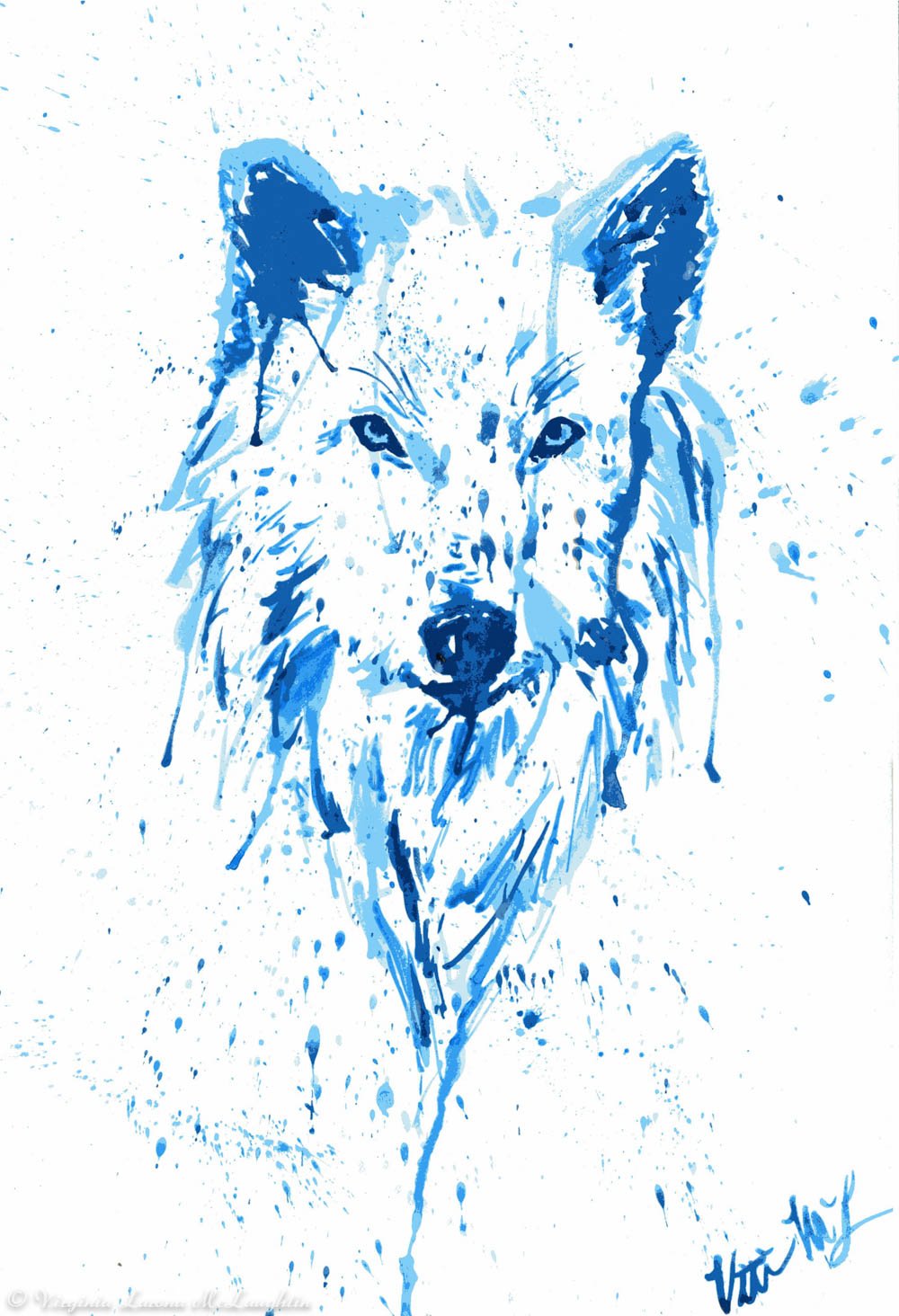 sp007.jpg