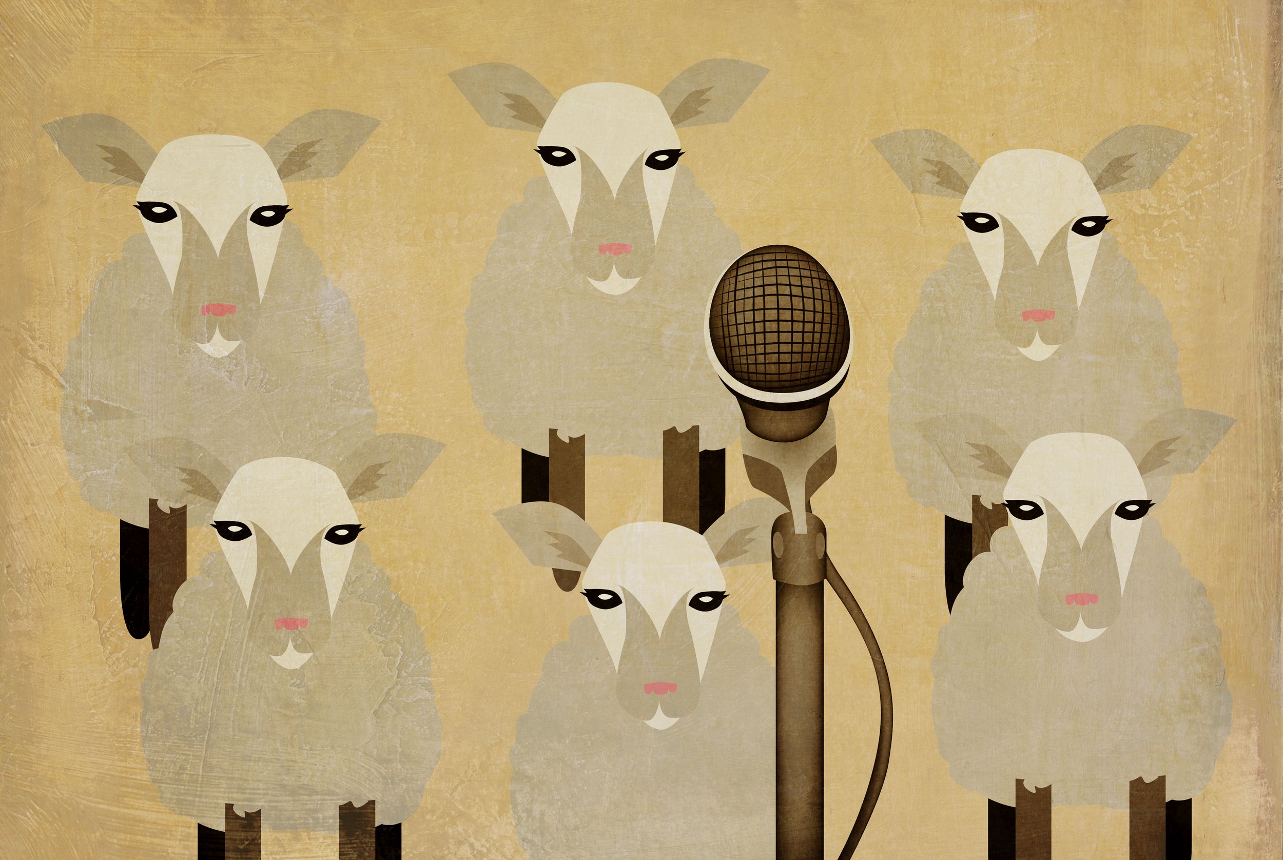 sheepish.jpg