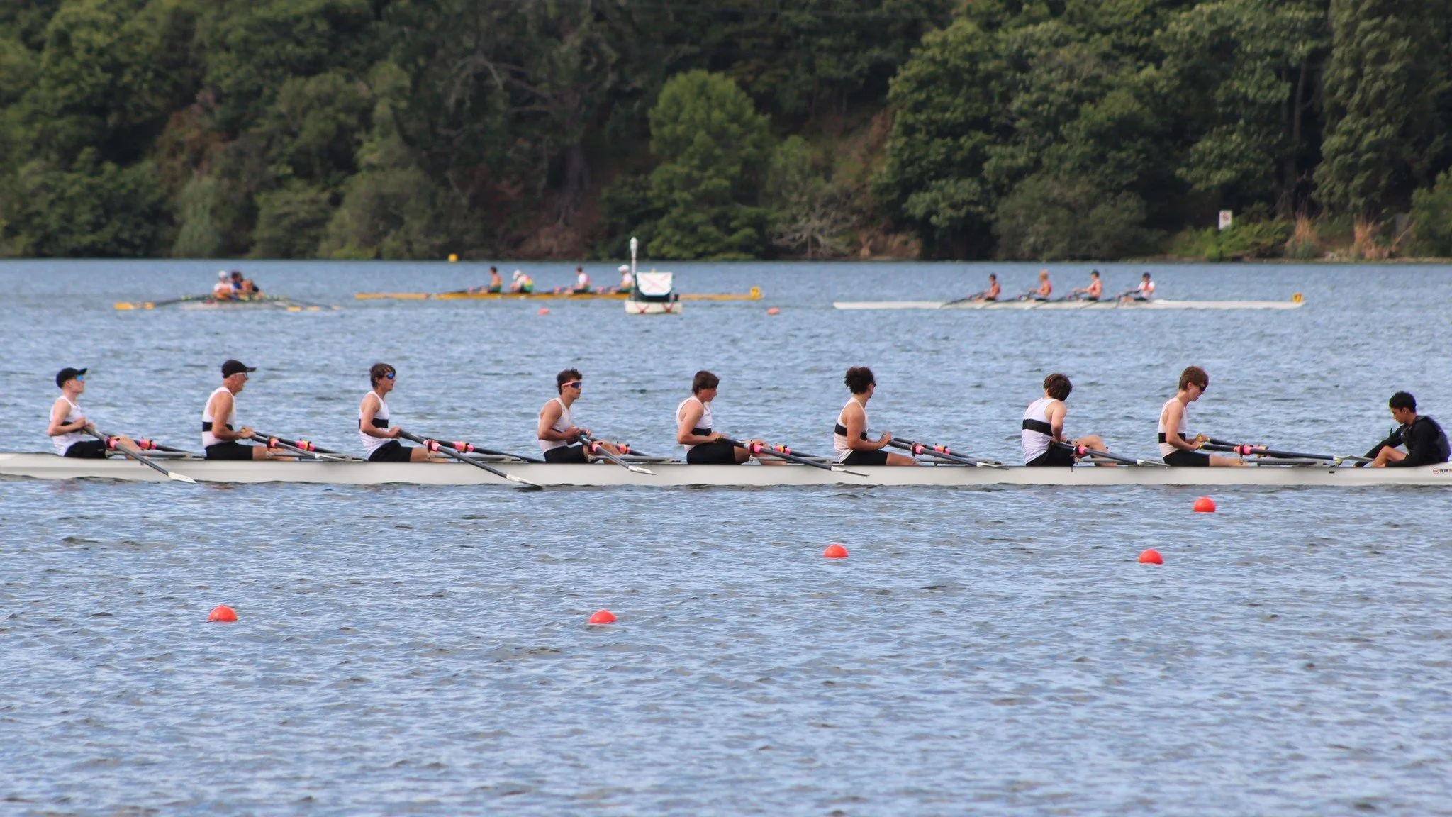 North Island Rowing Champs 