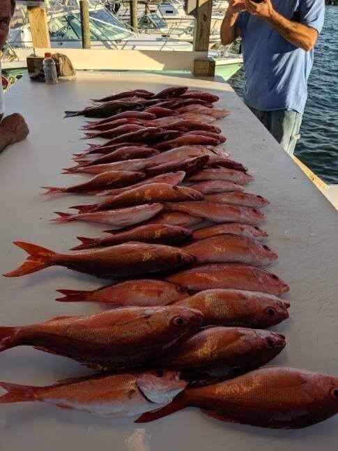 Fishing Charter Pensacola Captain Bryant @all caught up fishing charters_0020.jpeg