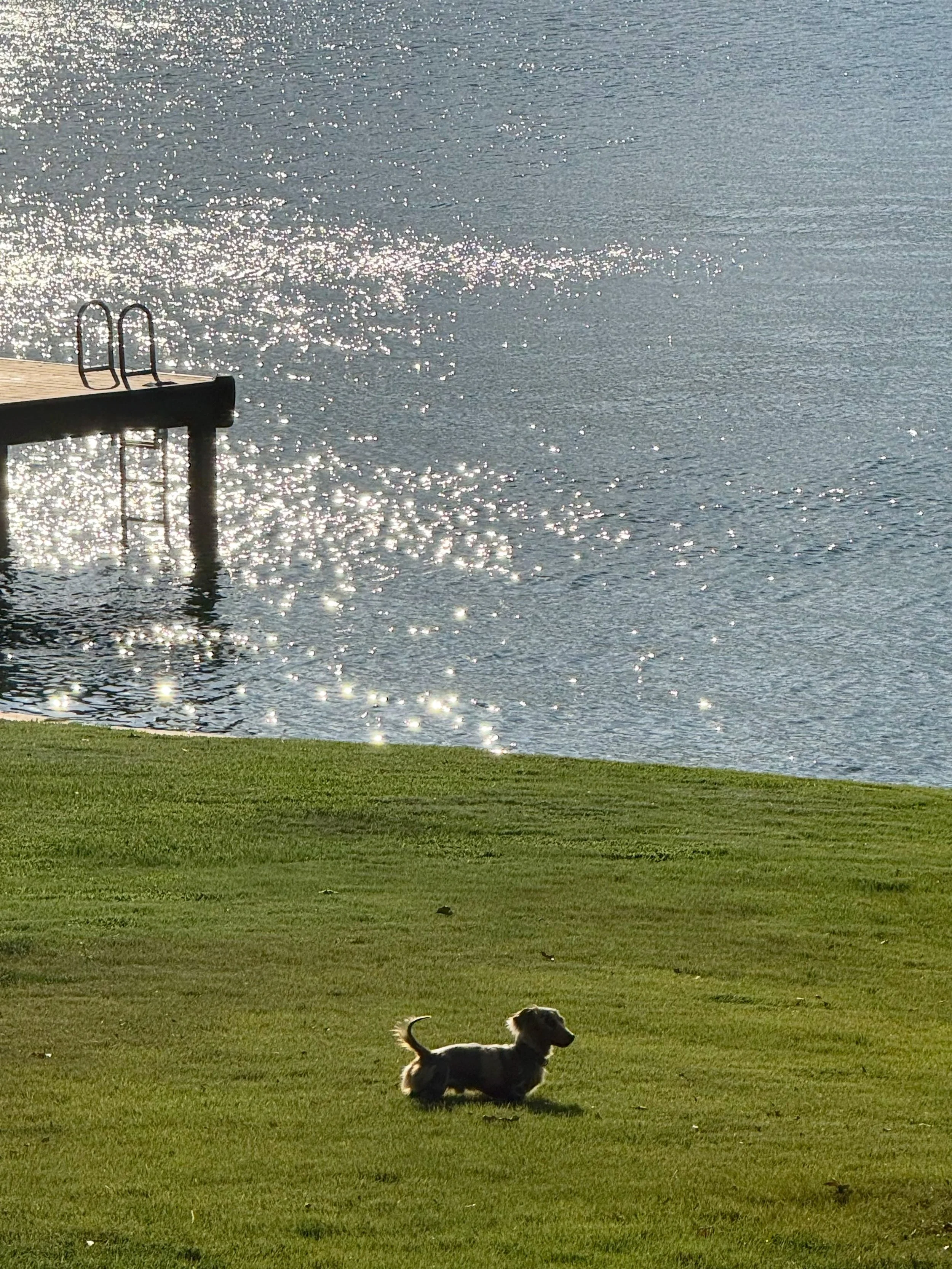 took a break from the beach ! 

#easttexas #lake #simpleliving #slowliving