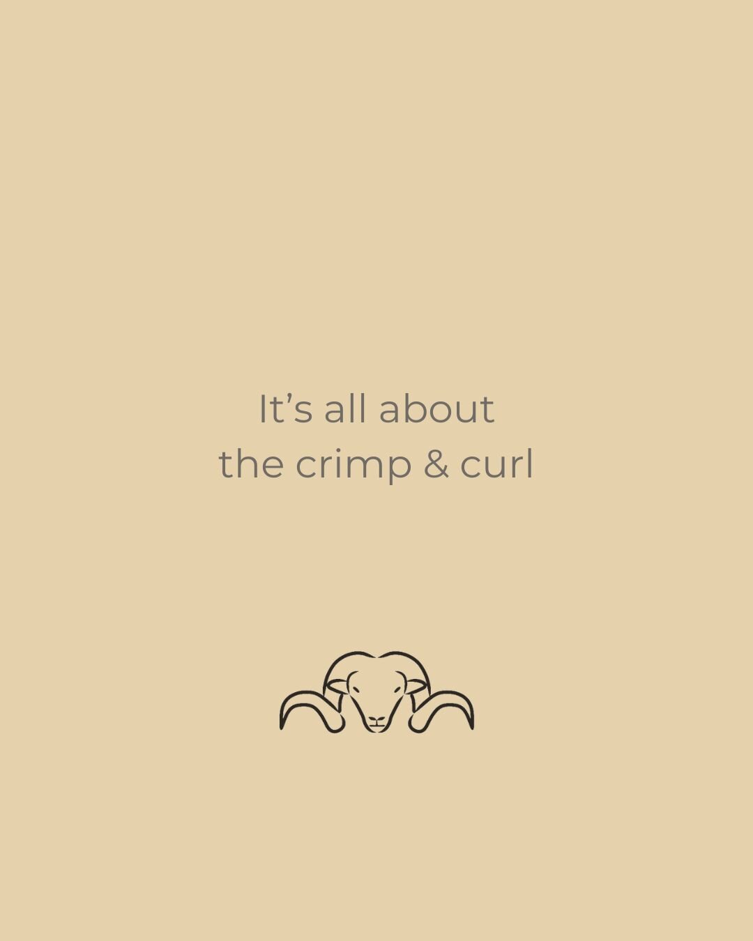 The critical pieces to understand about our Pihepe wool is its helical crimp, curvature, variation in fibre diameter, and naturally smooth scales.

All these crucial factors make our wool the lightest.