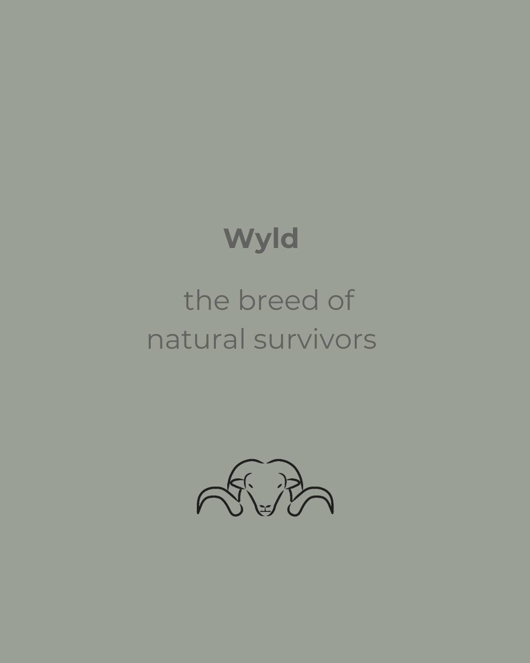 The name Wyld was chosen to reflect the link between the Pihepe&rsquo;s survival through Natural Selection and what man naturally selects in order to thrive.

Wyld garments mimic the natural fleeces of the Pihepe, which endure extreme conditions in t