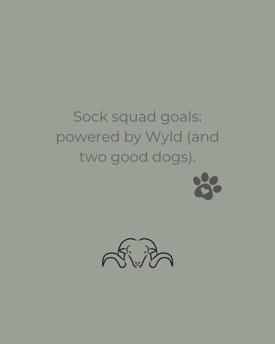 Wyld socks bring everyone together&hellip; even the dog had to be in the middle of it all. 🐾🧦 Whether you&rsquo;re hiking, lounging, or just showing off your sock game, comfort is always better shared.

#wyldsocks #bestsocksever #nzwool #comfortsoc