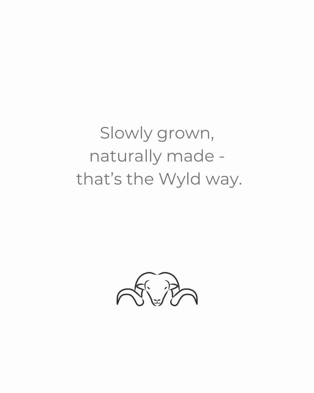 At Wyld, we don&rsquo;t believe in rushing nature. Our Pihepe sheep grow their unique wool at their own pace. From there, it&rsquo;s carefully spun and crafted in New Zealand into timeless pieces - lightweight, soft, and made to last. 

When you wear