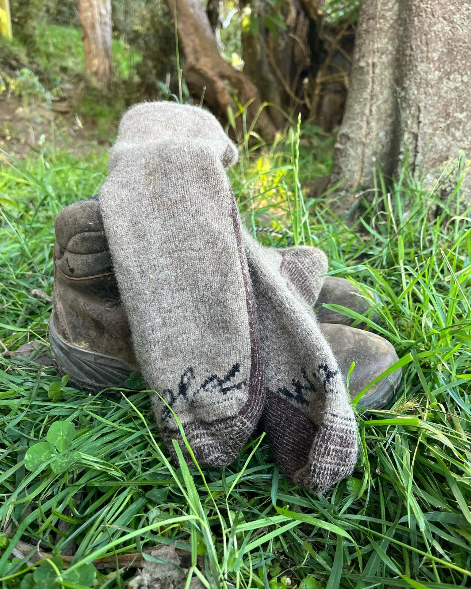 Swipe to spot the common thread? 
Almost everyone in these moments is wearing Wyld socks - because once you try them, they&rsquo;re the pair you reach for every time.

Cosy, breathable, naturally light. It&rsquo;s no wonder they keep showing up in th