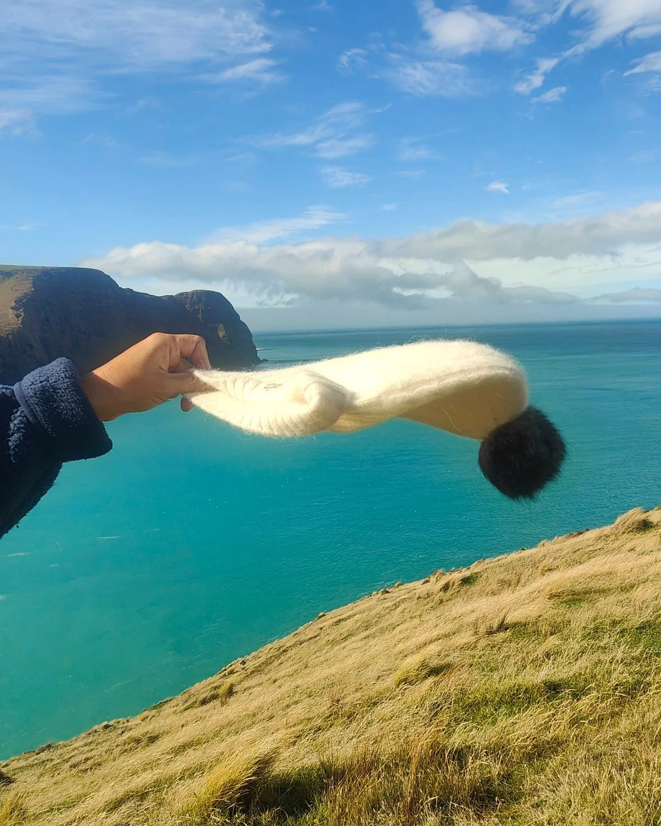 Can&rsquo;t beat this view 
Stay cosy with Bohepe, wherever the breeze takes you

#WyldWool #BohepeCosyHat #nzwool #bankspeninsula #cosyewecosyyou