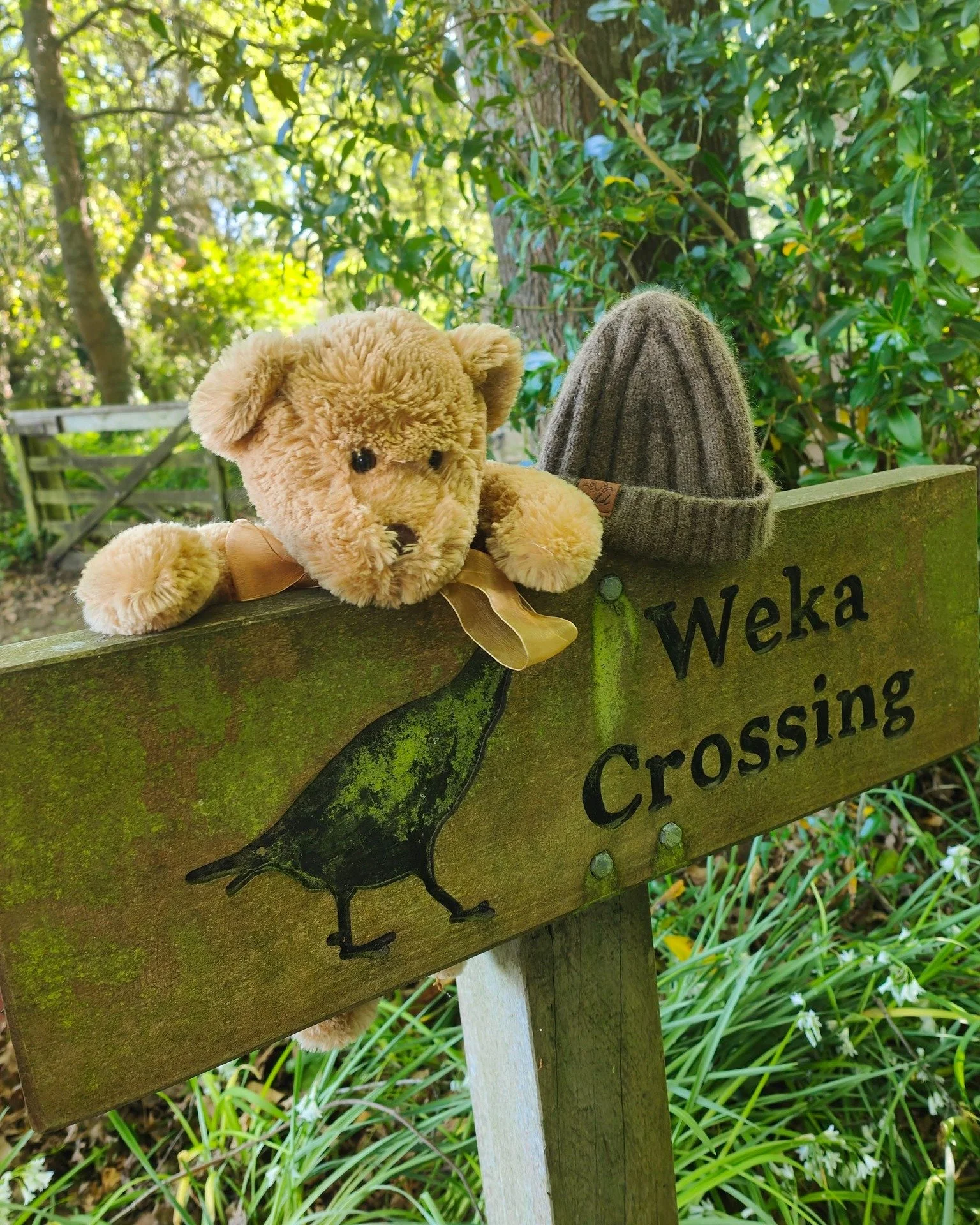 Meet our tiniest model &mdash; exploring the farm Wyld-style. 🐻🌿
Teddy&rsquo;s gone walkabout, taking Wyld warmth wherever he goes. Wrapped up in his baby hat, he&rsquo;s a gentle reminder that adventure and comfort can go hand in hand - no matter 