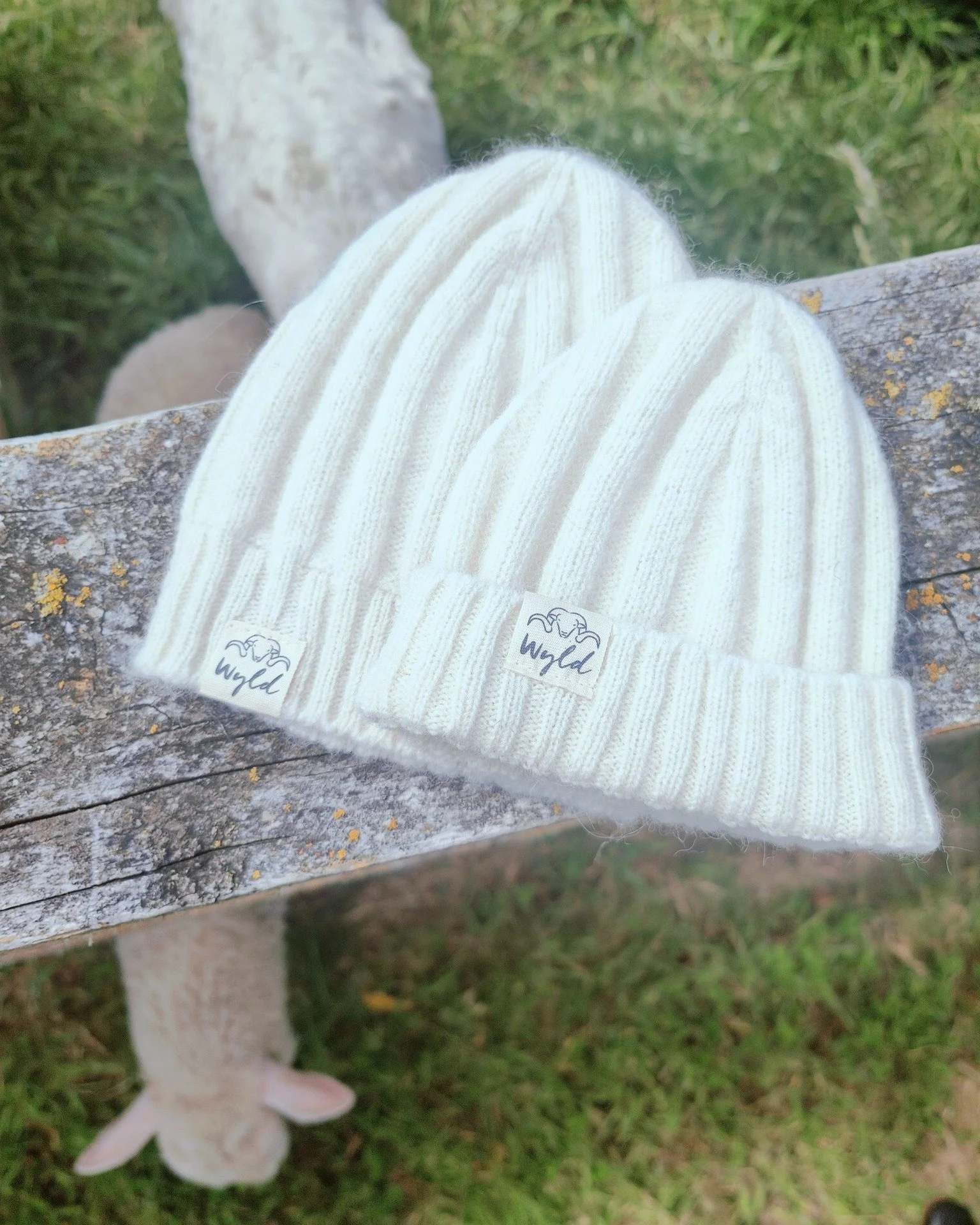 Soft wool, gentle day, curious friends. 
Did you spot the calf and lamb peeking through the fence for a closer look? Even they can sense something special.

Naturally soft and farm to fibre, the Bohepe Baby Hat is right at home here &mdash; made from