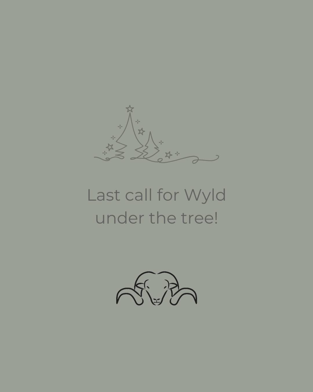 Don&rsquo;t let Christmas sneak up on you! 
Make sure your Wyld gifts are under the tree - place your orders before it&rsquo;s too late. 🐑🤎 

www.wyld.co.nz