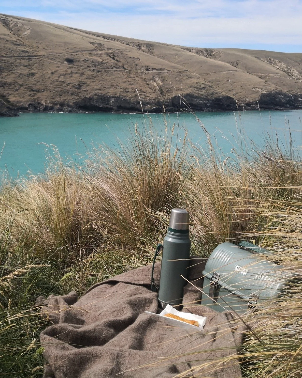 Perfect day for a Wyld picnic