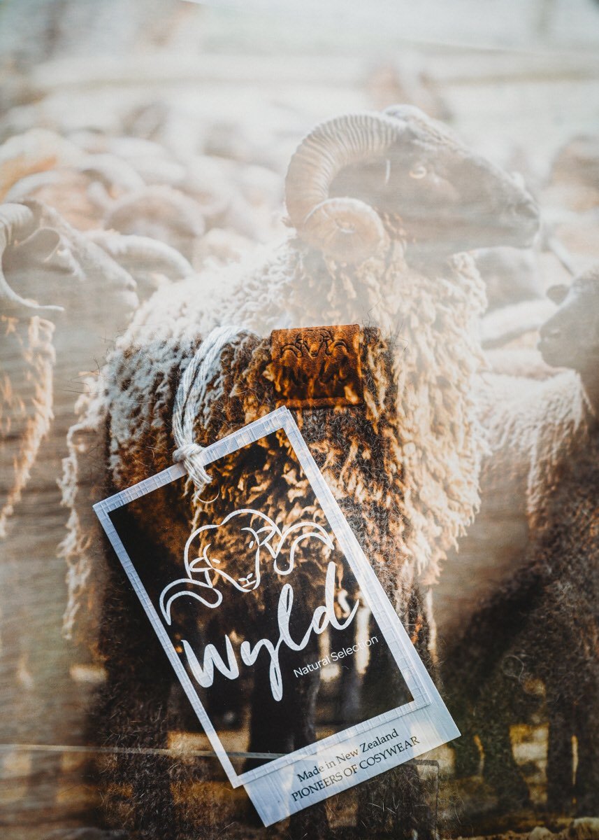 The source of it all.
Real wool, real animals, real New Zealand craftsmanship.

Thanks, @chloelodgephotographer,  for this stunning image

#wyldnz #nzphotographer #chloelodgephotography