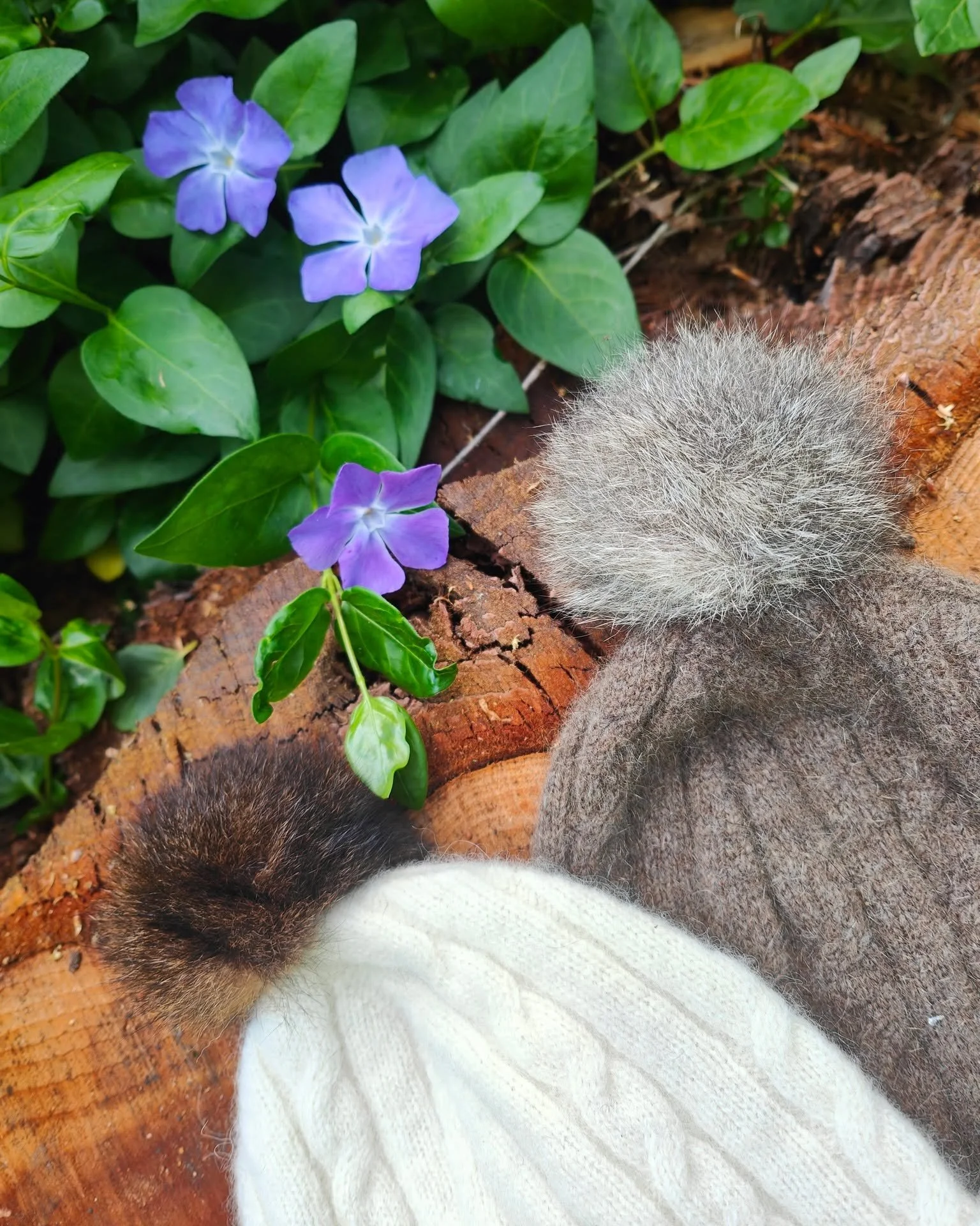 Stock up on Cosyness this Easter
FREE SHIPPING - Use code COSYEASTER

On all orders delivered to NZ addresses until 7th April 2026.

#nzwool #nzeaster #freeshipping #buynzmade