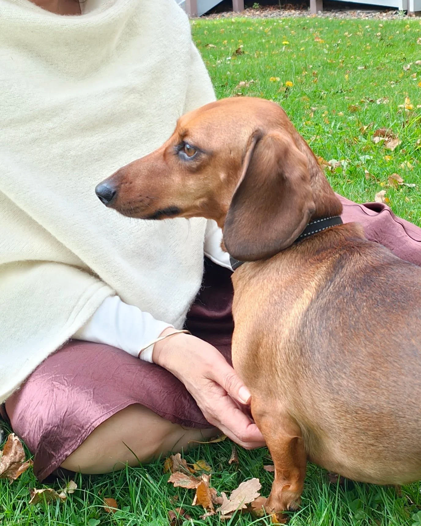 Wyld snuggles with Frankie.