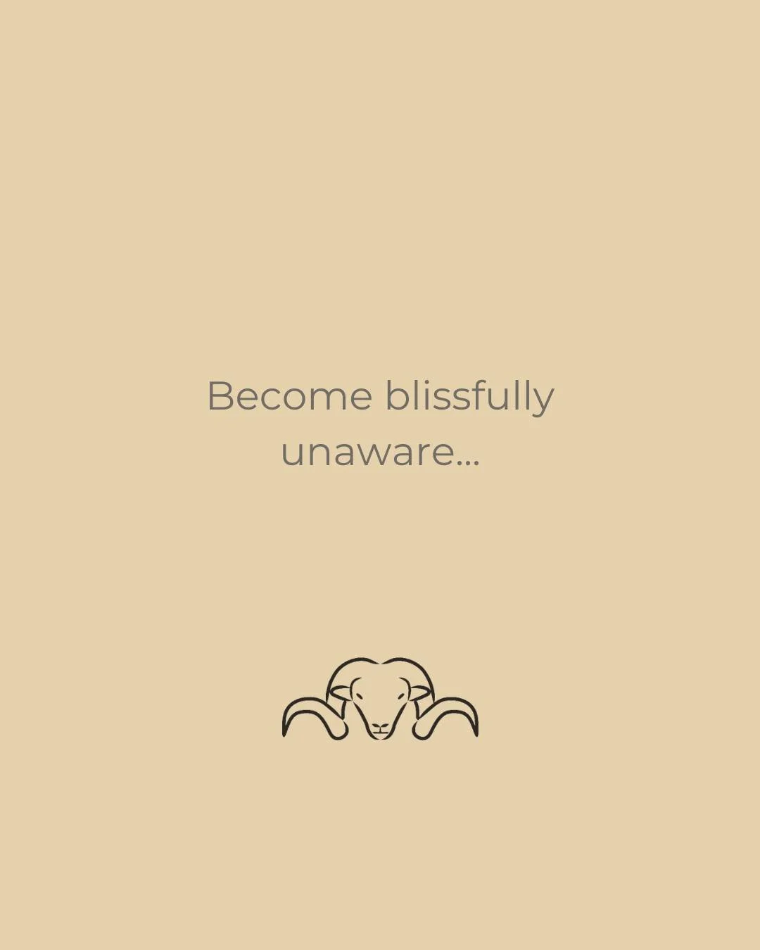 Become blissfully unaware of what you are wearing, whilst feeling just right.

Our natural comfort blend of 50% Pihepe, 25% Merino and 25% Possum have been selected to complement each other and to create a yarn that when blended, is greater than its 